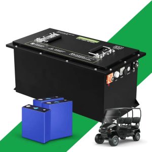 OEM ODM 48v LiFePO4 baterija za golf kolica
